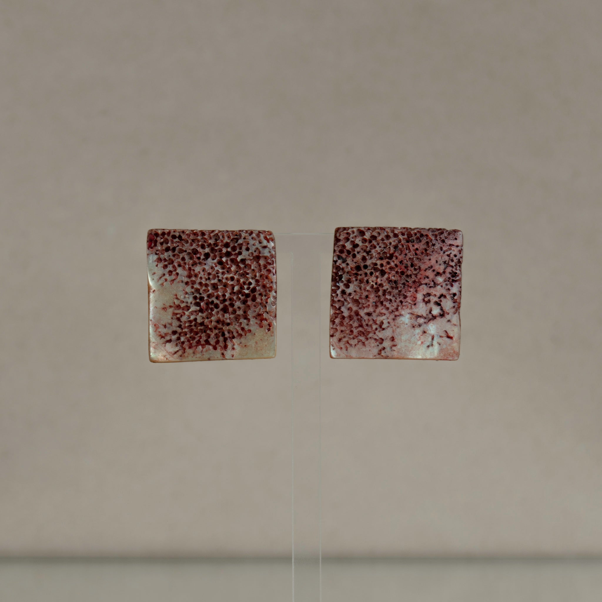 Pink Fossil Shell Square Earrings