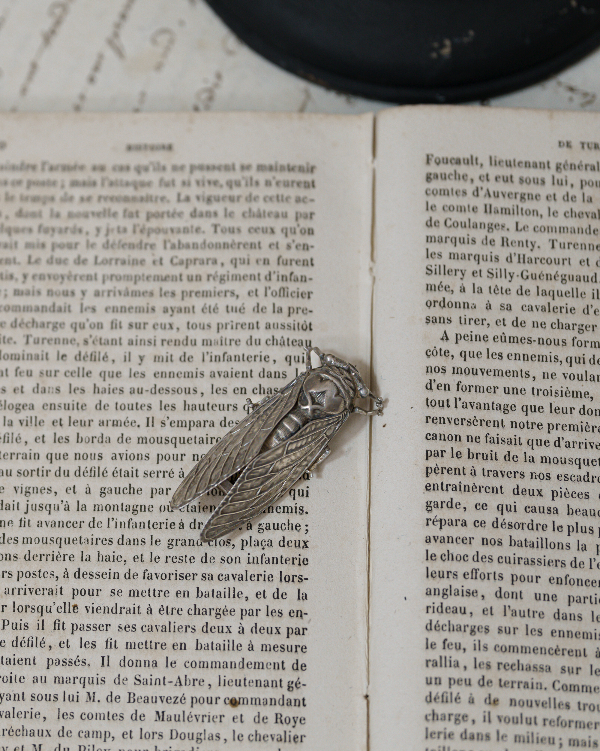 French Sterling Silver Cicada Lucky Motif Brooch