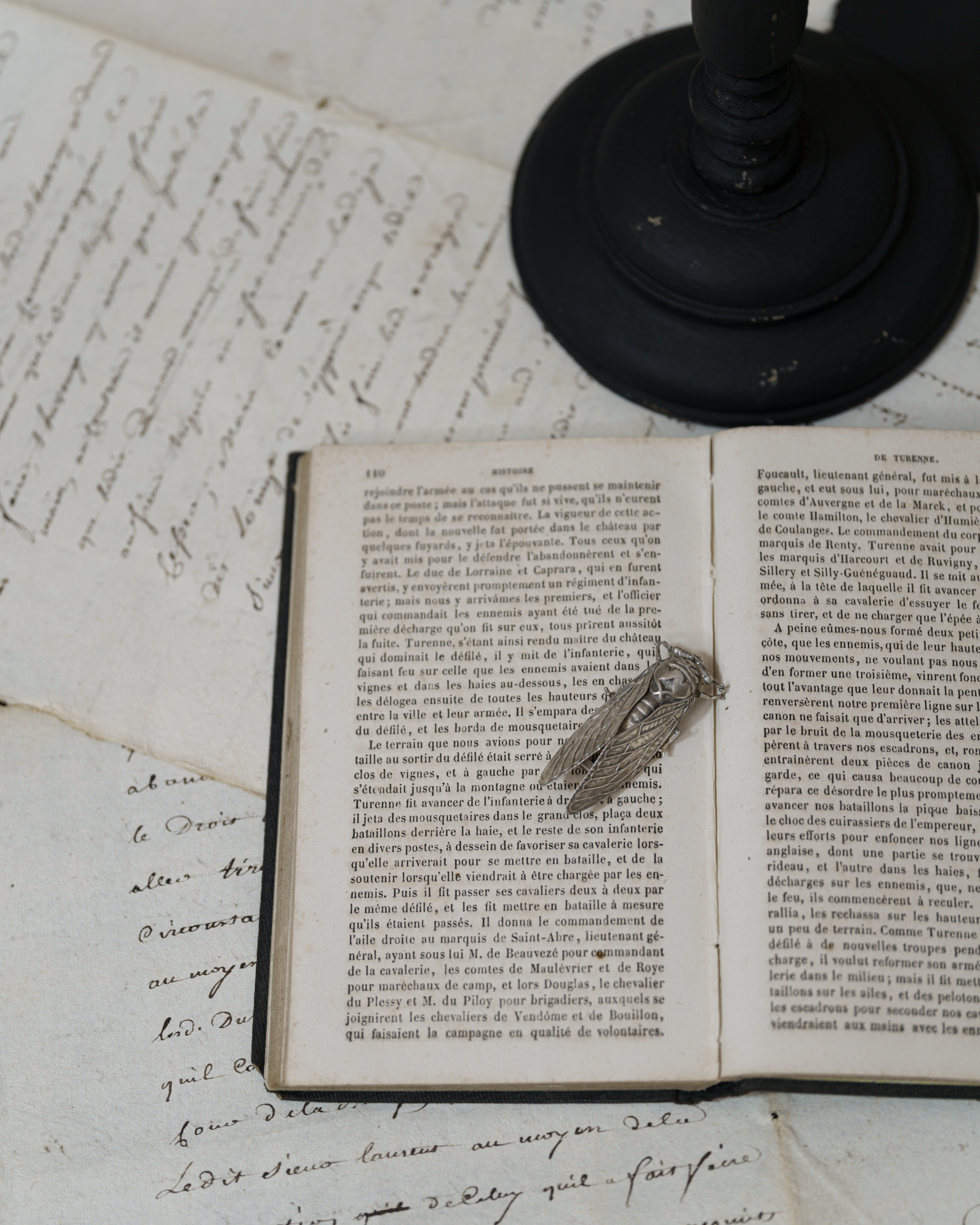 French Sterling Silver Cicada Lucky Motif Brooch